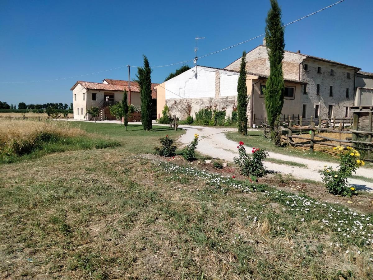 B&B Castel Goffredo San P 3 Exterior foto